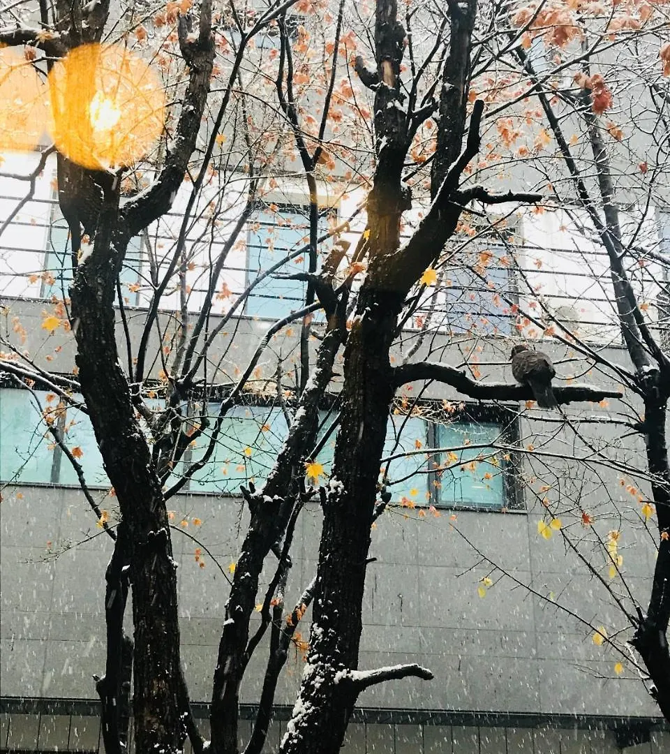 Pensionat Naru Guesthouse Seoul